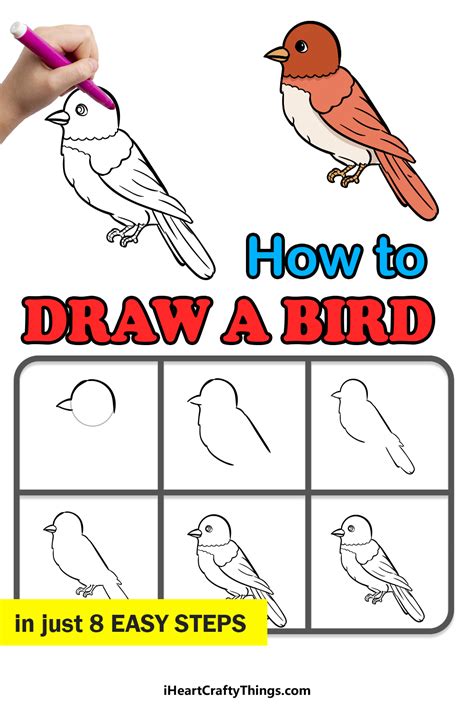 How to Draw a Bird .